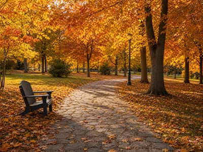 Autumn preview